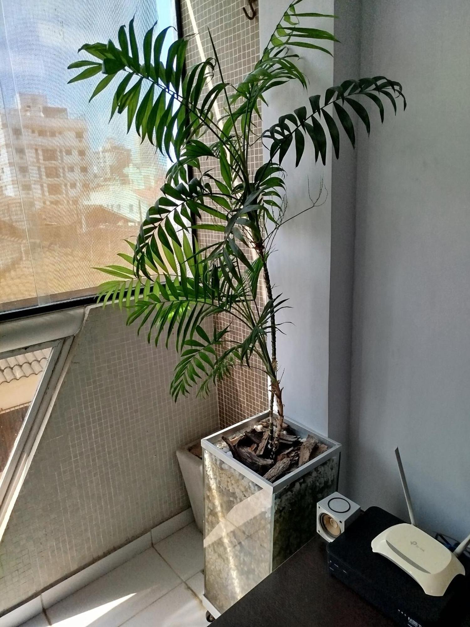 Apartamento Impecavel Na Enseada Guarujá Exterior foto